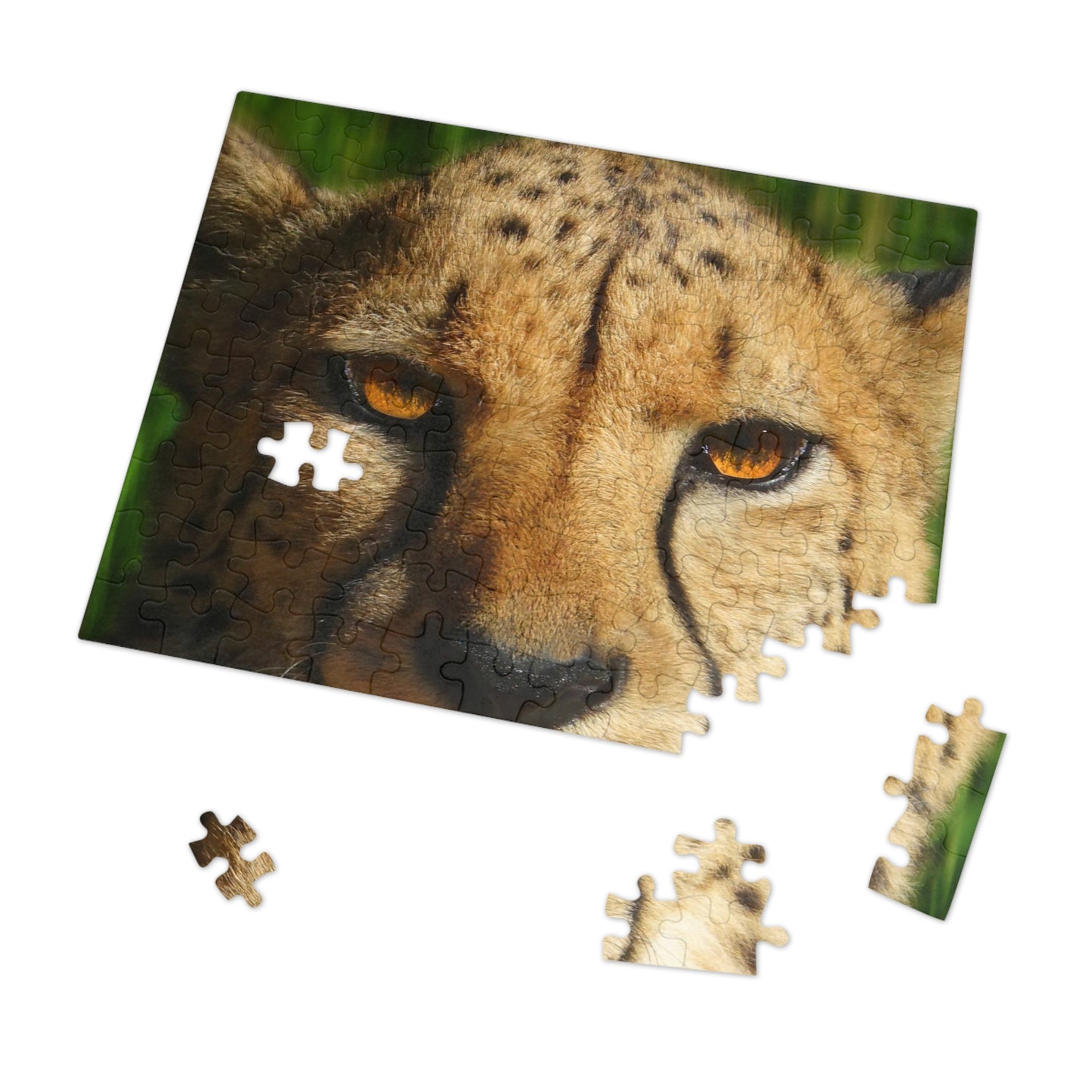 Swift Spots Jigsaw Puzzle (30, 110, 252, 500,1000-Piece)