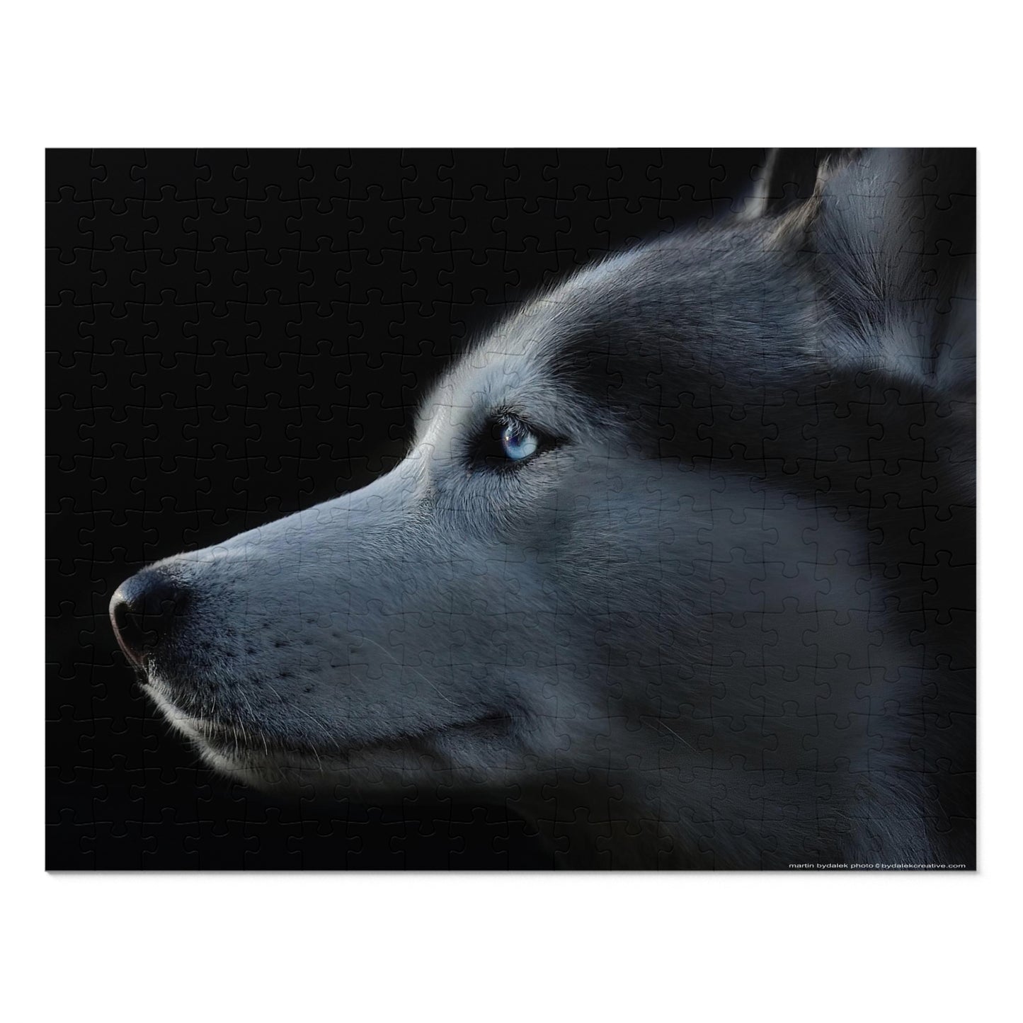 Husky Gaze Jigsaw Puzzle (30, 110, 252, 500,1000-Piece)