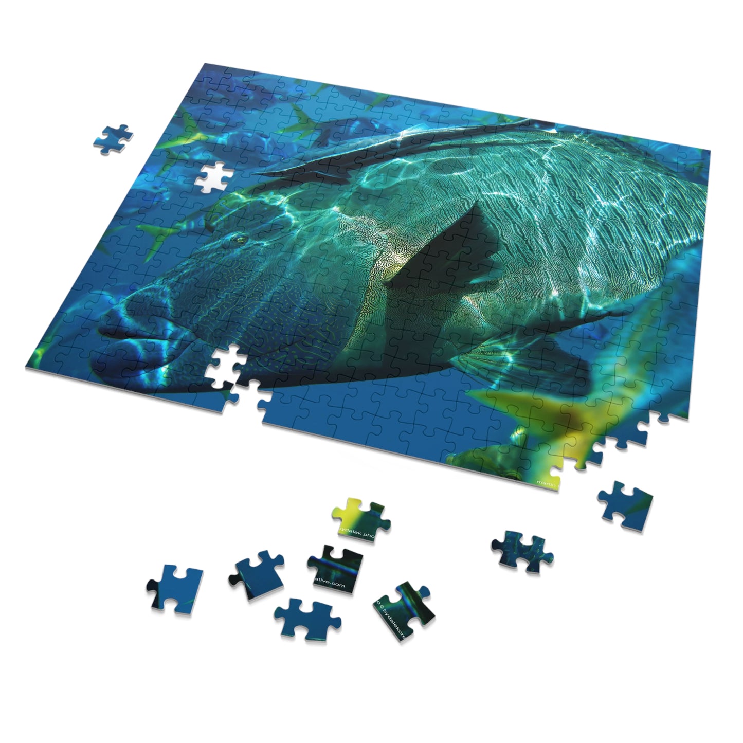 Sea Wonder Jigsaw Puzzle (30, 110, 252, 500,1000-Piece)