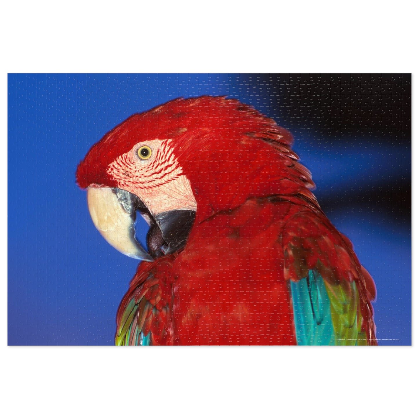 Macaw Jigsaw Puzzle (30, 110, 252, 500,1000-Piece)