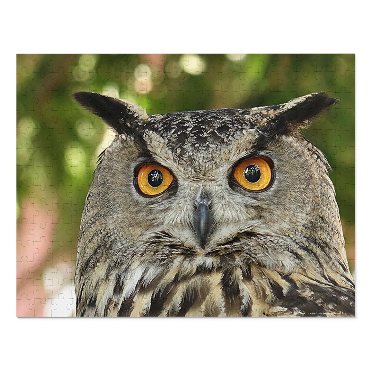 Enchanting Owl Jigsaw Puzzle (30, 110, 252, 500,1000-Piece)