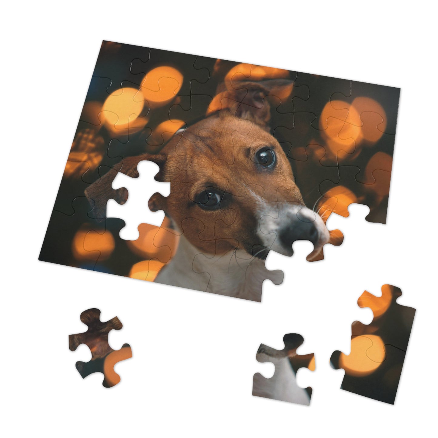 Curious Jack Jigsaw Puzzle (30, 110, 252, 500,1000-Piece)