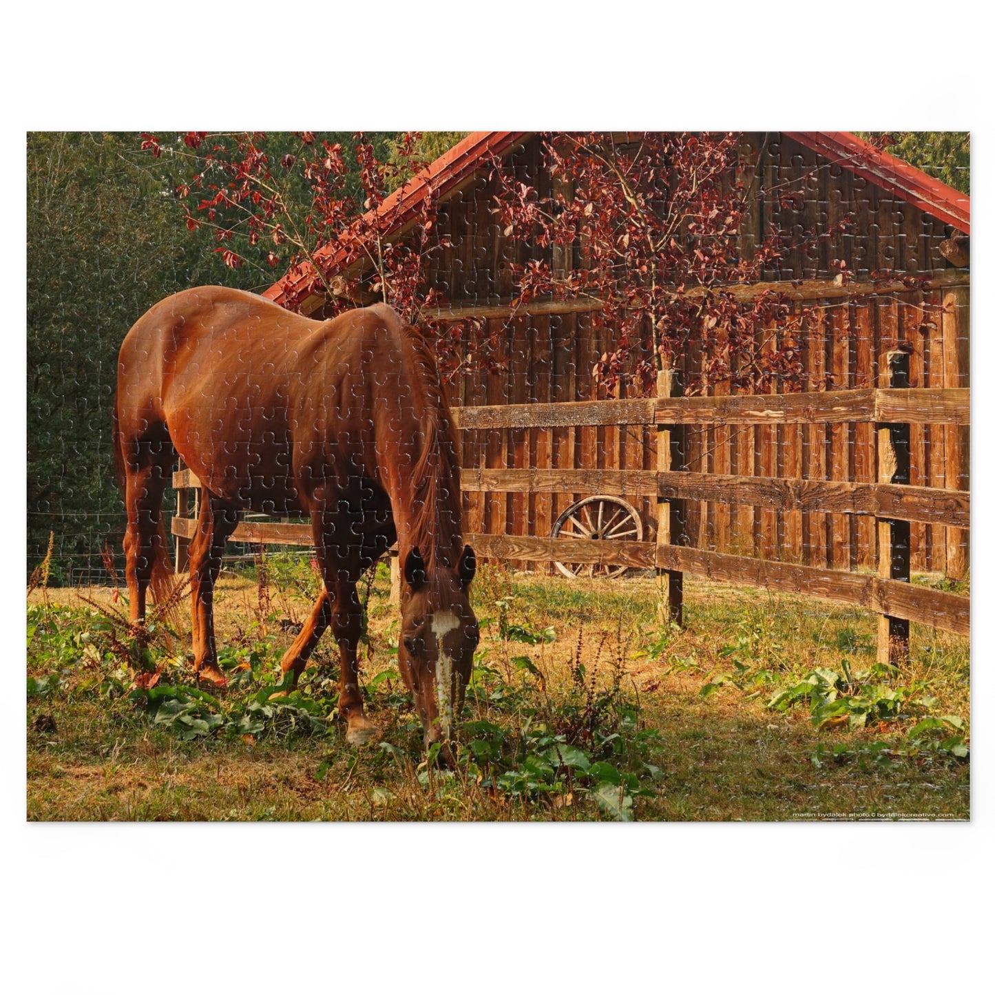 Equestrian Elegance Jigsaw Puzzle (30, 110, 252, 500,1000-Piece)