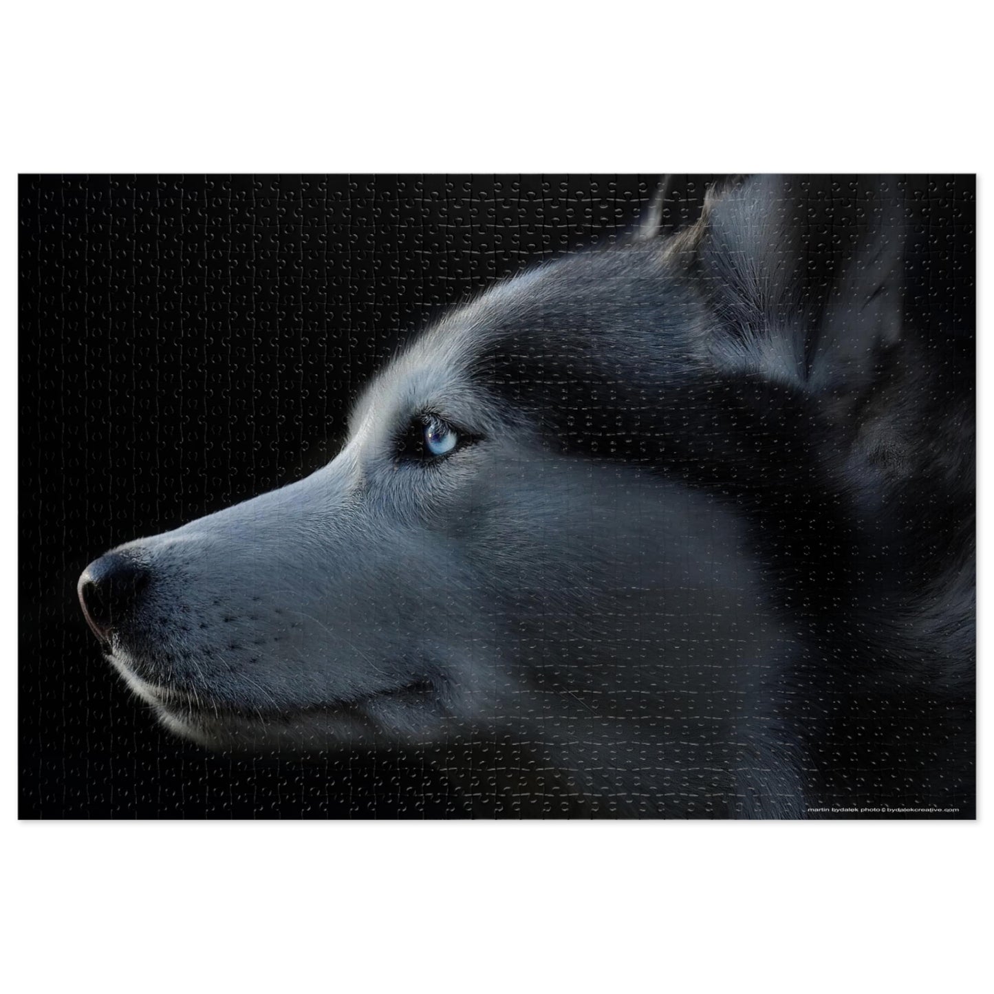 Husky Gaze Jigsaw Puzzle (30, 110, 252, 500,1000-Piece)