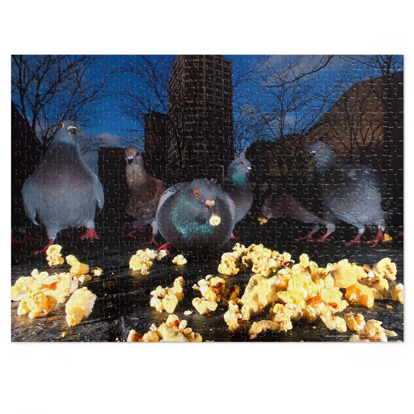 Pigeon Picnic Jigsaw Puzzle (30, 110, 252, 500,1000-Piece)