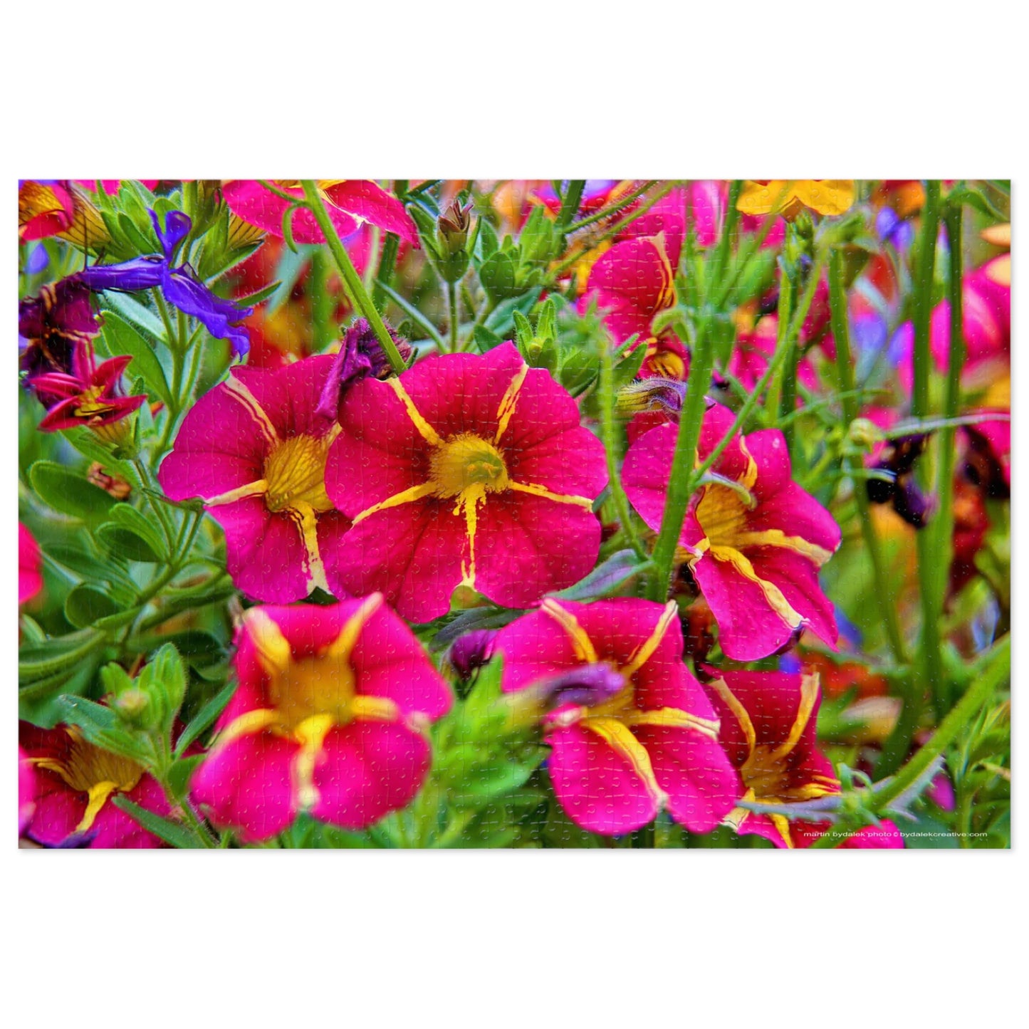 Petunia Mosaic Jigsaw Puzzle (30, 110, 252, 500,1000-Piece)