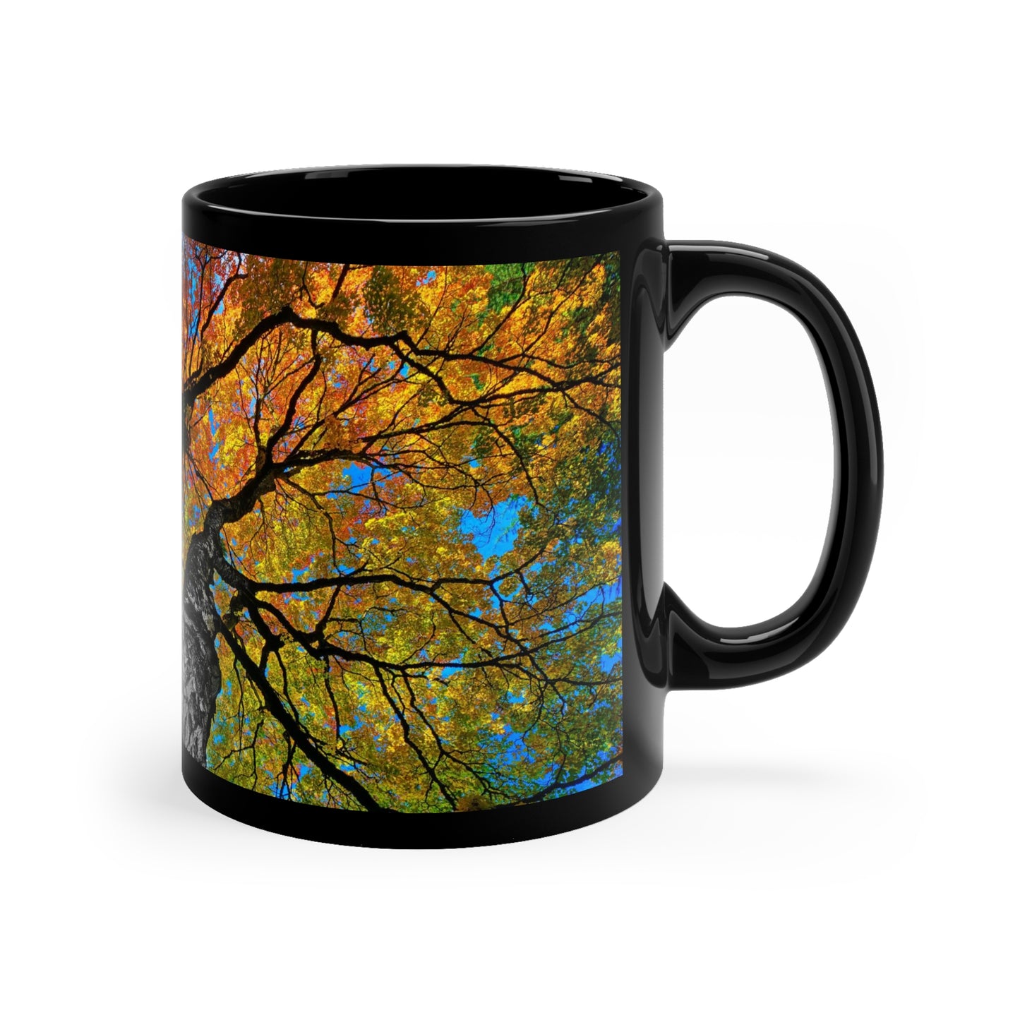 Autumn Canopy 11oz Black Mug