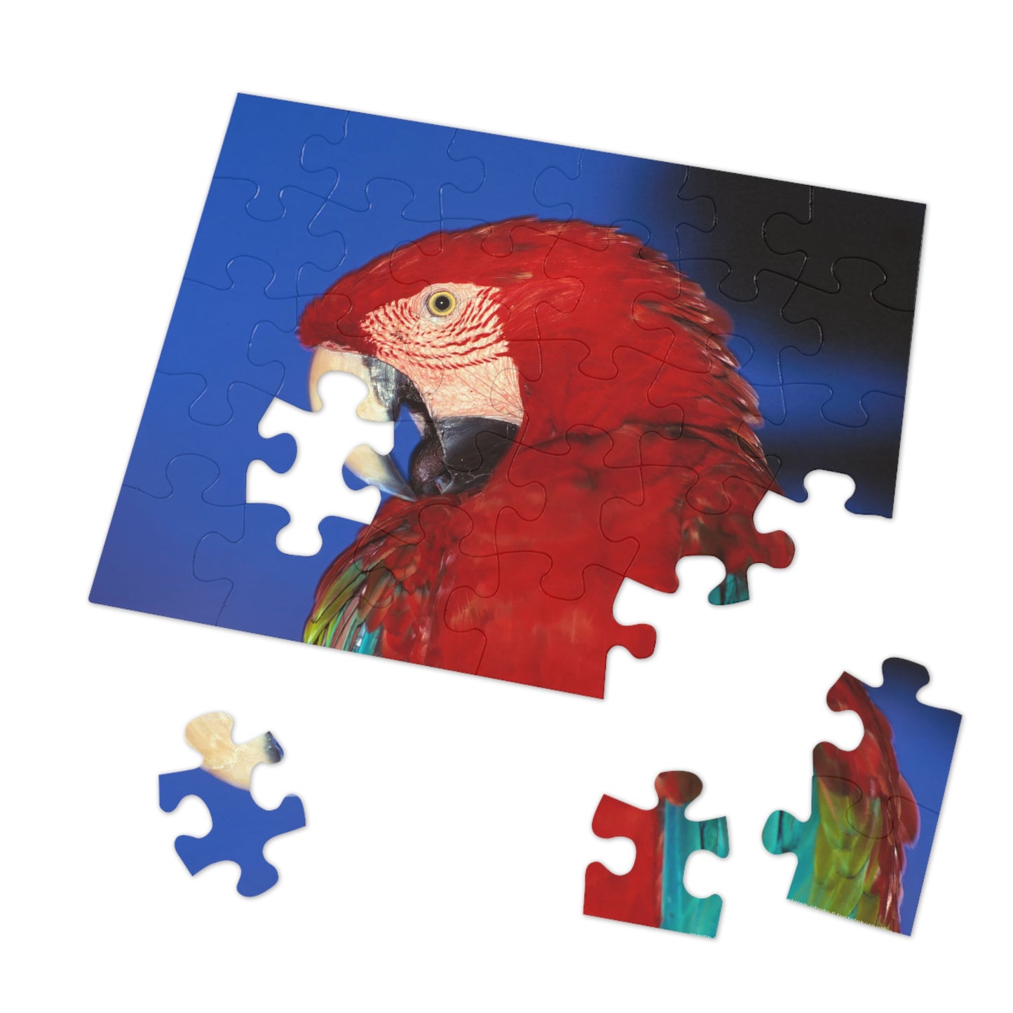 Macaw Jigsaw Puzzle (30, 110, 252, 500,1000-Piece)