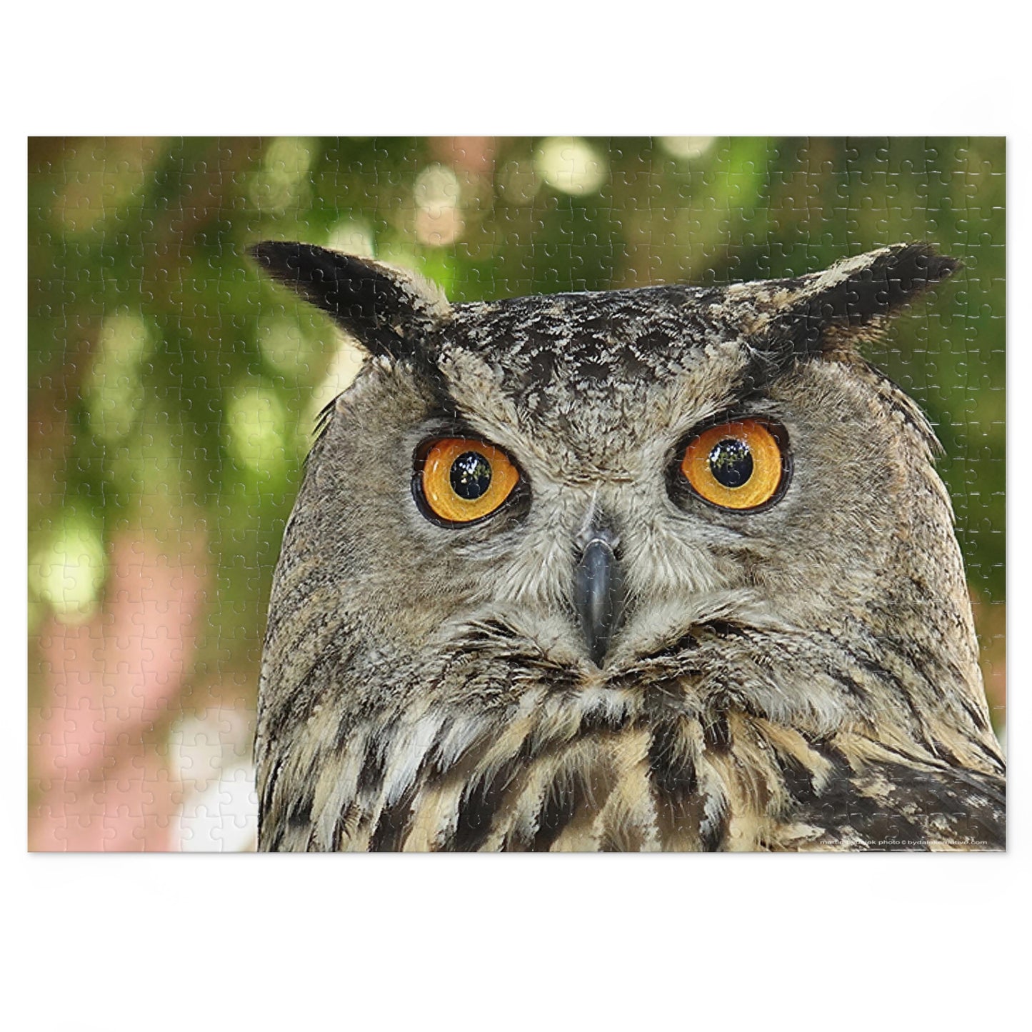 Enchanting Owl Jigsaw Puzzle (30, 110, 252, 500,1000-Piece)