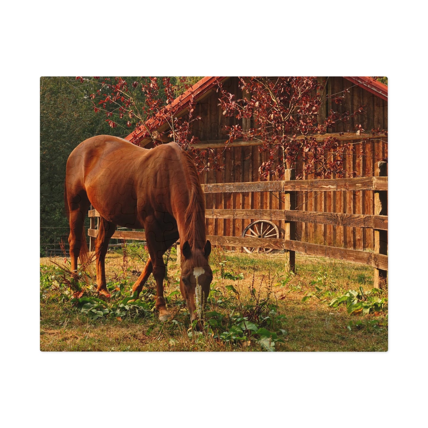 Equestrian Elegance Jigsaw Puzzle (30, 110, 252, 500,1000-Piece)