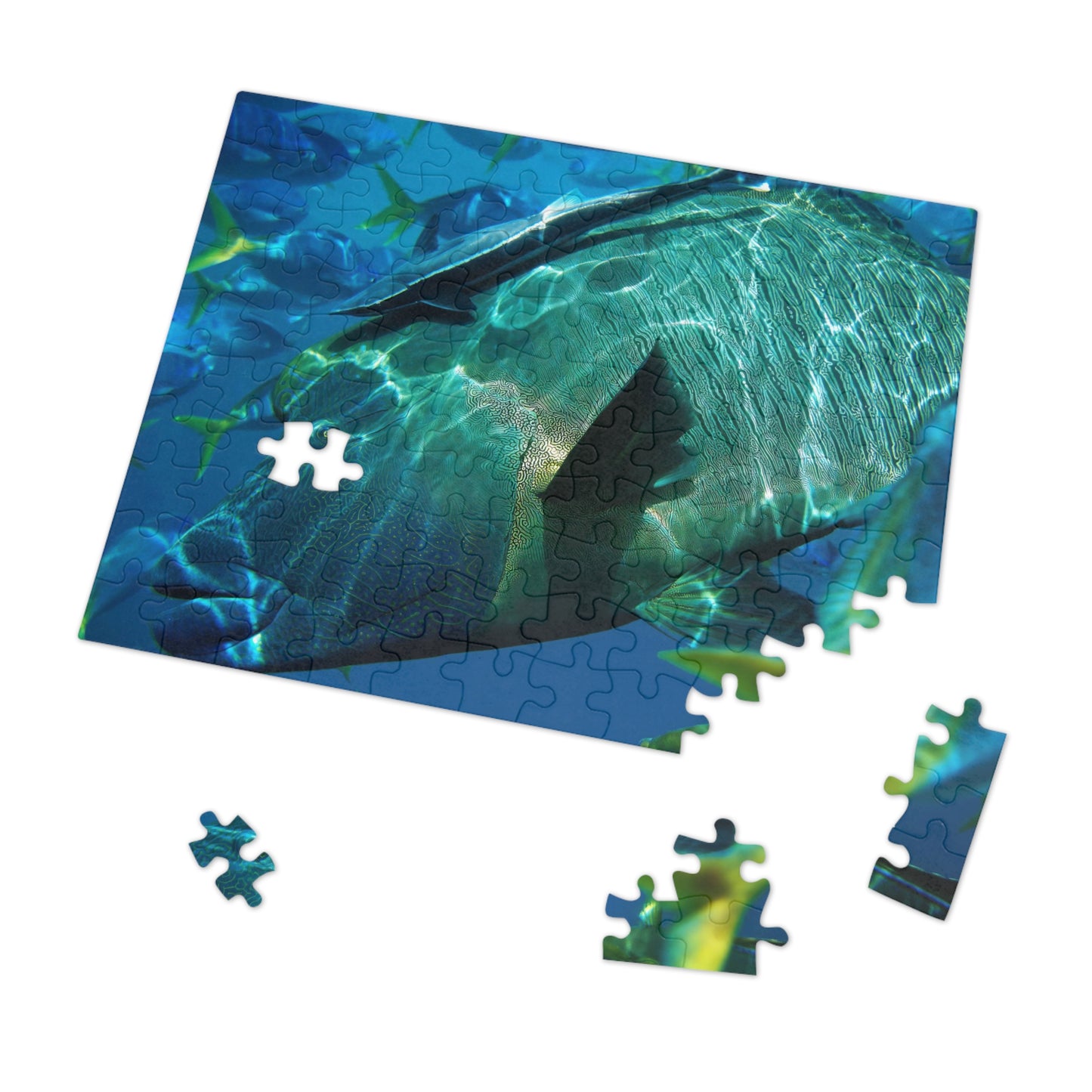 Sea Wonder Jigsaw Puzzle (30, 110, 252, 500,1000-Piece)