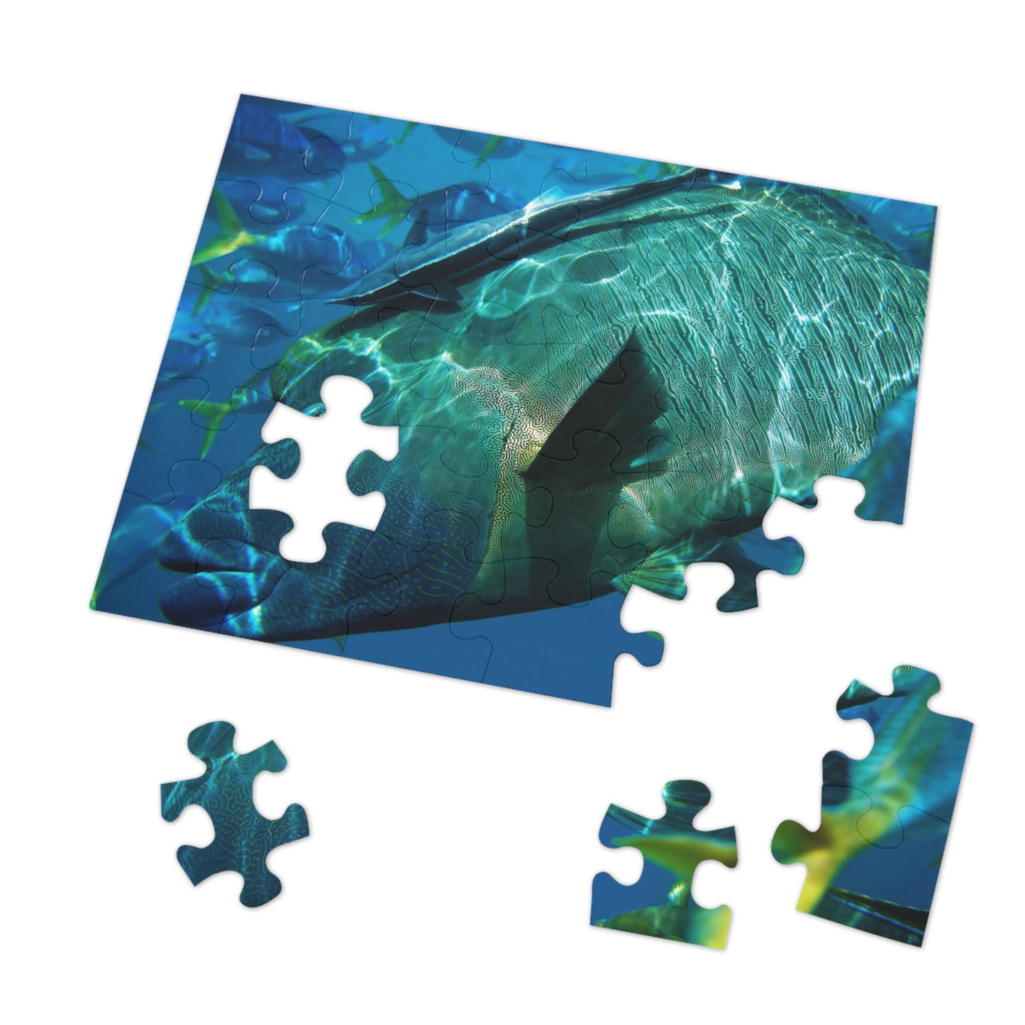 Sea Wonder Jigsaw Puzzle (30, 110, 252, 500,1000-Piece)