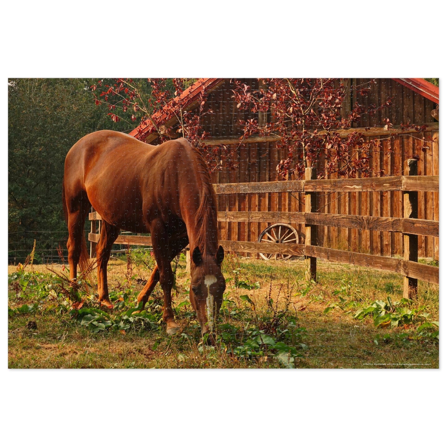 Equestrian Elegance Jigsaw Puzzle (30, 110, 252, 500,1000-Piece)